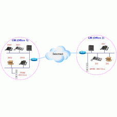 Ключ активации ПО LIK-100/300/600 Transparent Networking Local Survivability для АТС iPECS-LIK